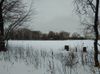 536 County Road D E photo